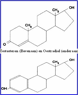 testosteron2.jpg